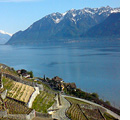 Bourg-en-Lavaux