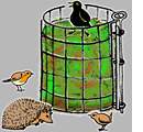 Oiseaux se nourrissant autour du compost