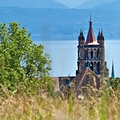 Vue du clocher de la cathédrale de Lausanne depuis un champs fleuri