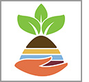 Logo de l'Année internationale des sols
