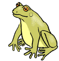 Crapaud