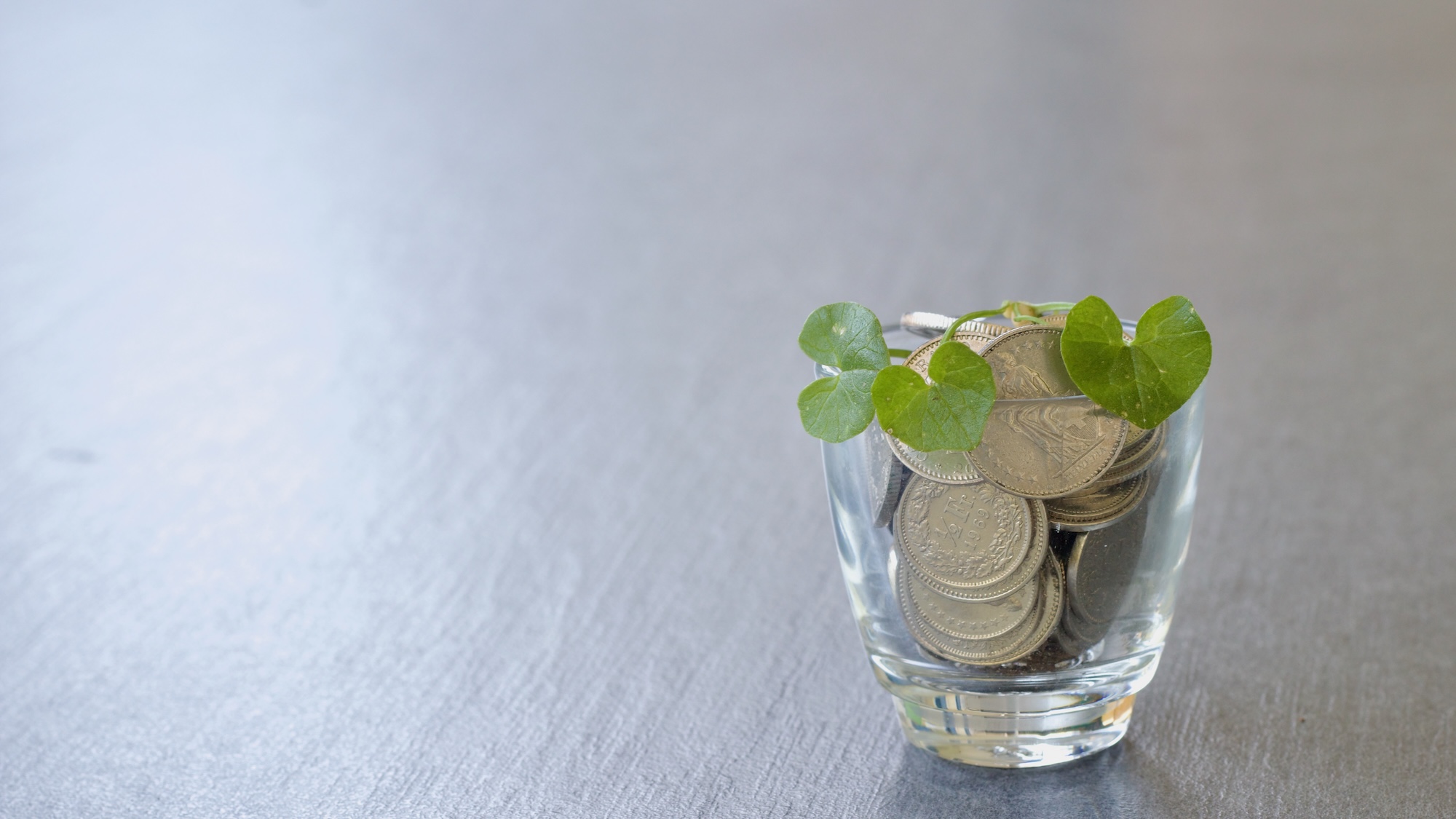 une plante poussant dans un petit peau transparent qui contient des pièces de monnaie à la place de la terre