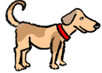 chien