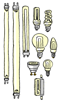 Ampoules et lampes fluorescentes