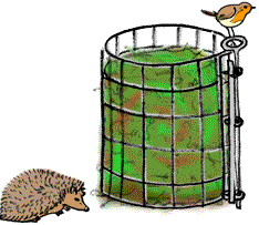 Compost et petite faune