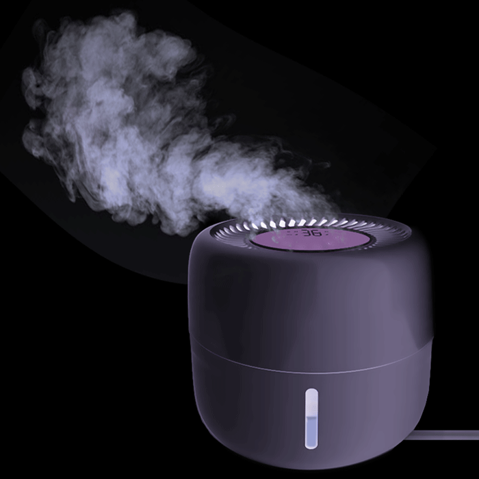 Humidificateur Et Plantes : Ce Qu'il Faut Savoir Par Des