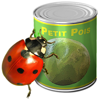 Une toute petite boîte de conserve avec juste un petit pois