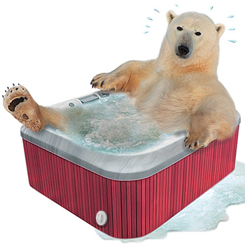 Ours polaire dans un jacuzzi (spa)