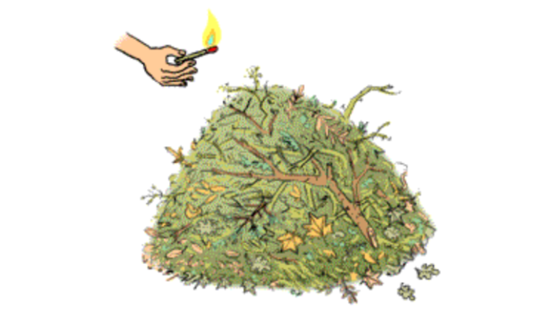 Feu de jardin