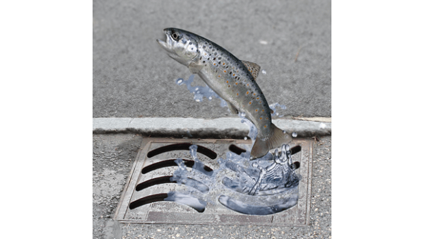 Grille d'égout