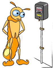ver luisant et compteur