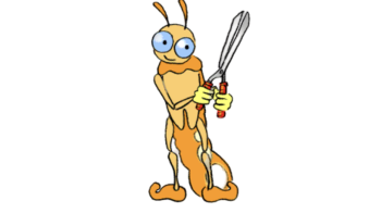 Plantes indigènes sauvages pouvant constituer une haie taillée ou des arbustes libres